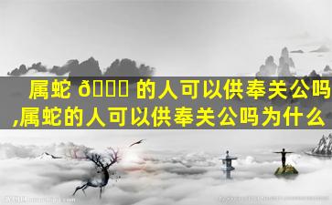 属蛇 🍀 的人可以供奉关公吗,属蛇的人可以供奉关公吗为什么